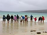 Galapagos 4-1-08 Floreana Punta Cormorant Seeing Rays On Flour Beach